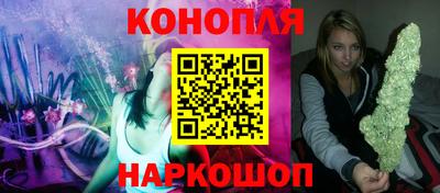 дмт Кингисепп