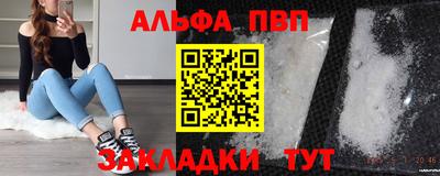 дмт Кингисепп