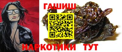 дмт Кингисепп